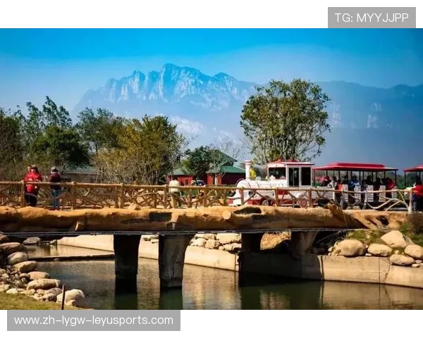 赛事组织升级2026江西庐山全国风筝精英赛工作机构人员选派通知解读